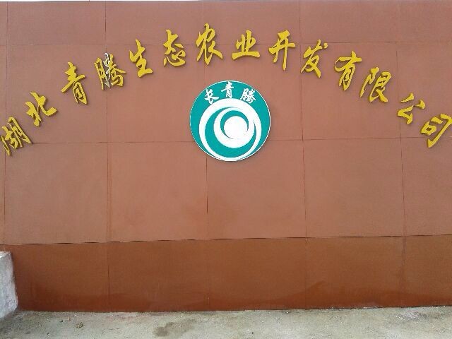 ��˾��(ji��n)��